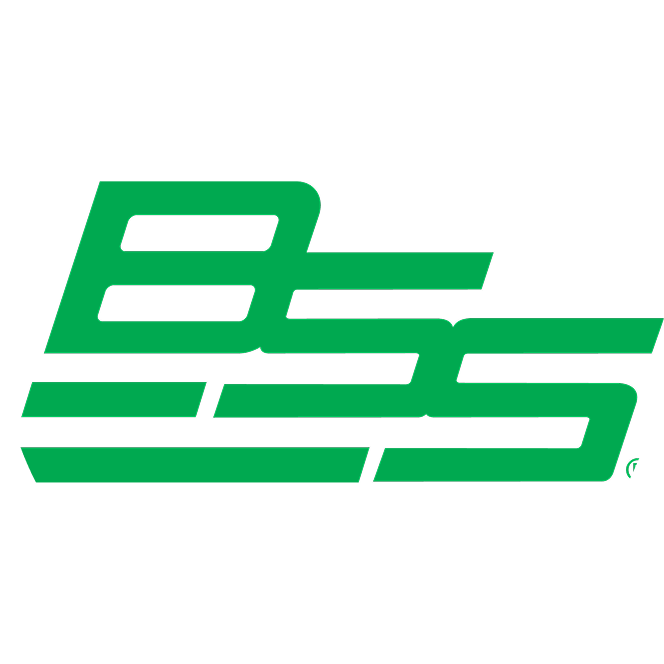 BSS logo